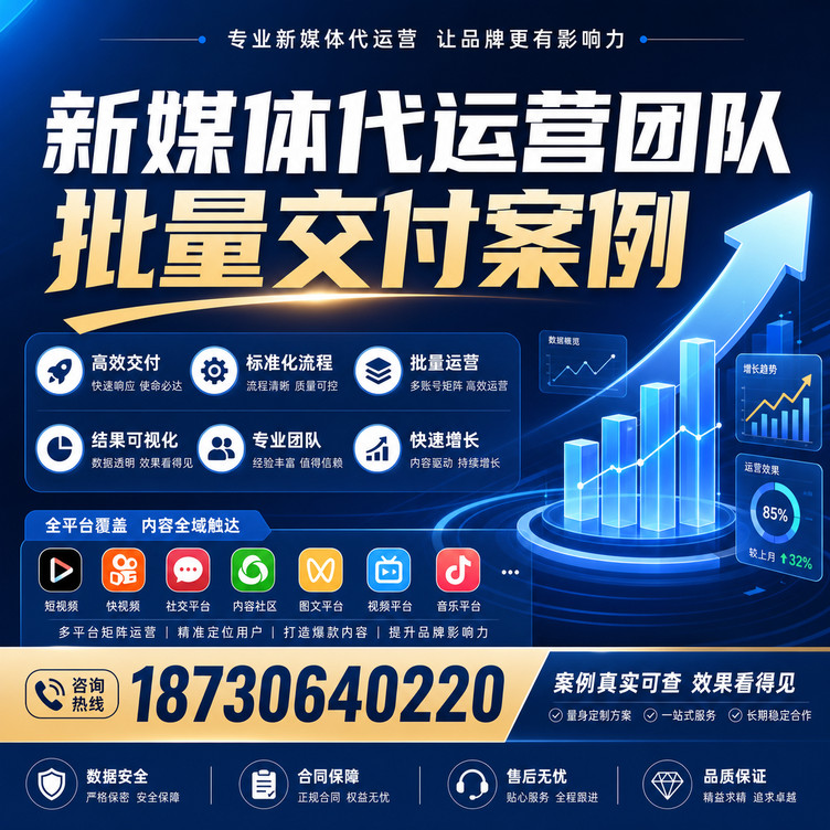 娄底代运营公司多客户账号批量高效交付案例